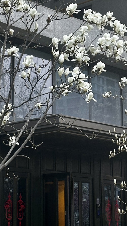 微信图片_20260330165049_485_52.jpg